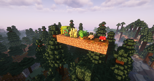 BB Crops