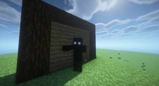 Shadow Creature