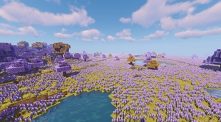Purple Biome