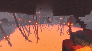 Nether Biome