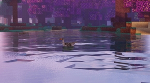 Goose in the lake as it freezes over