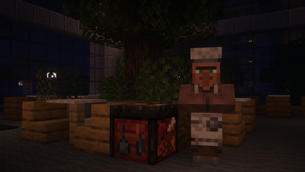 Chef Gourmet Villager