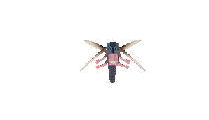 Mysterious Larva