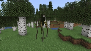 DrOctopus