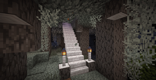 Stairway to the house