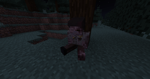 A dead body found at a tree