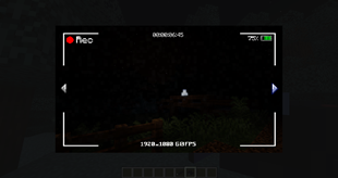 Looking at pictures on a camera