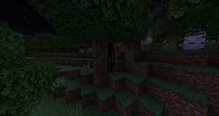 A black figure standing between the trees