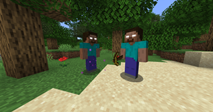 Herobrine Mage and Herobrine Builder