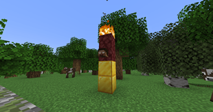 Herobrine Altar