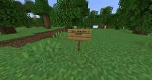 A sign from Herobrine