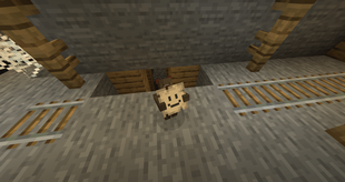 Builder Bear shows Picture