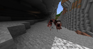 The Clone chasing