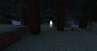 Peeping Tom Ghost