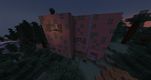 Abandoned House