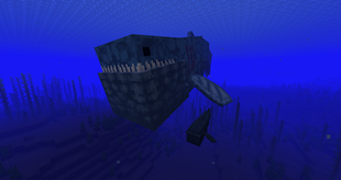 Colossoteus with a baby