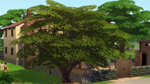 Screenshot 18