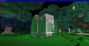 Vines