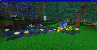 Flowering Lily Pads