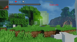 exec.png