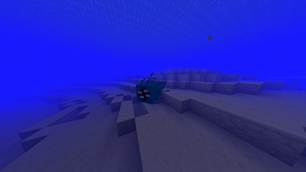 Deepwater Leech