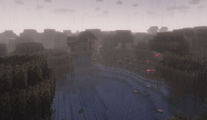 Soggy Swamp