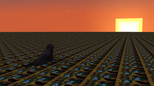 walrus sunset