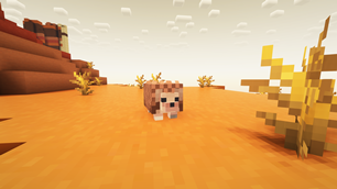 Badlands Hedgy