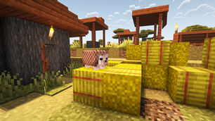 Village Hedgy