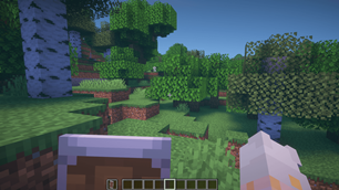First person view - blocking