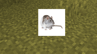 ÐÐµÐ· Ð½Ð°Ð·Ð²Ð°Ð½Ð¸Ñ (25).png