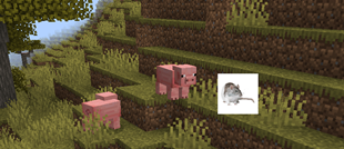 5454.png