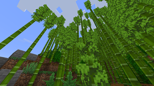 Bushy Bamboo leaves