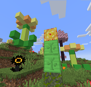 Pollinator