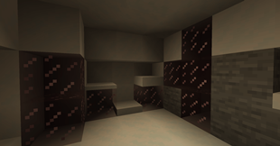 SCP 009