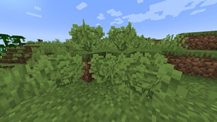 Bush redesign
