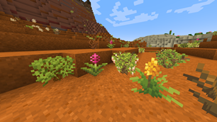 Some of the dead bush variations