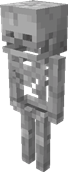Skeleton