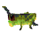 Grasshopper