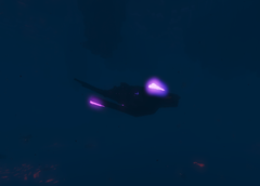 Glow Whale