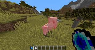 Super Pig