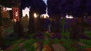 Magical Forest