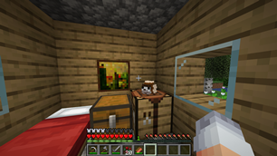 Domesticated Hedgehog