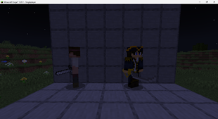 Pirate and Pirate Captain.png