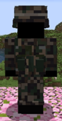 11.png