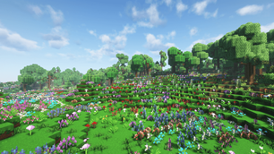 flower field_orchard