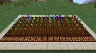 Mystical Flower Crops