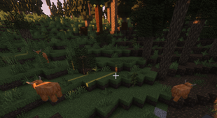 Screenshot 2025-02-10 195010.png