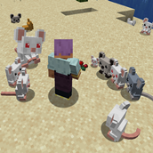 mice with variations