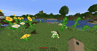 PokeLoot Drop